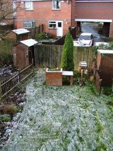 whitexmas White Xmas?